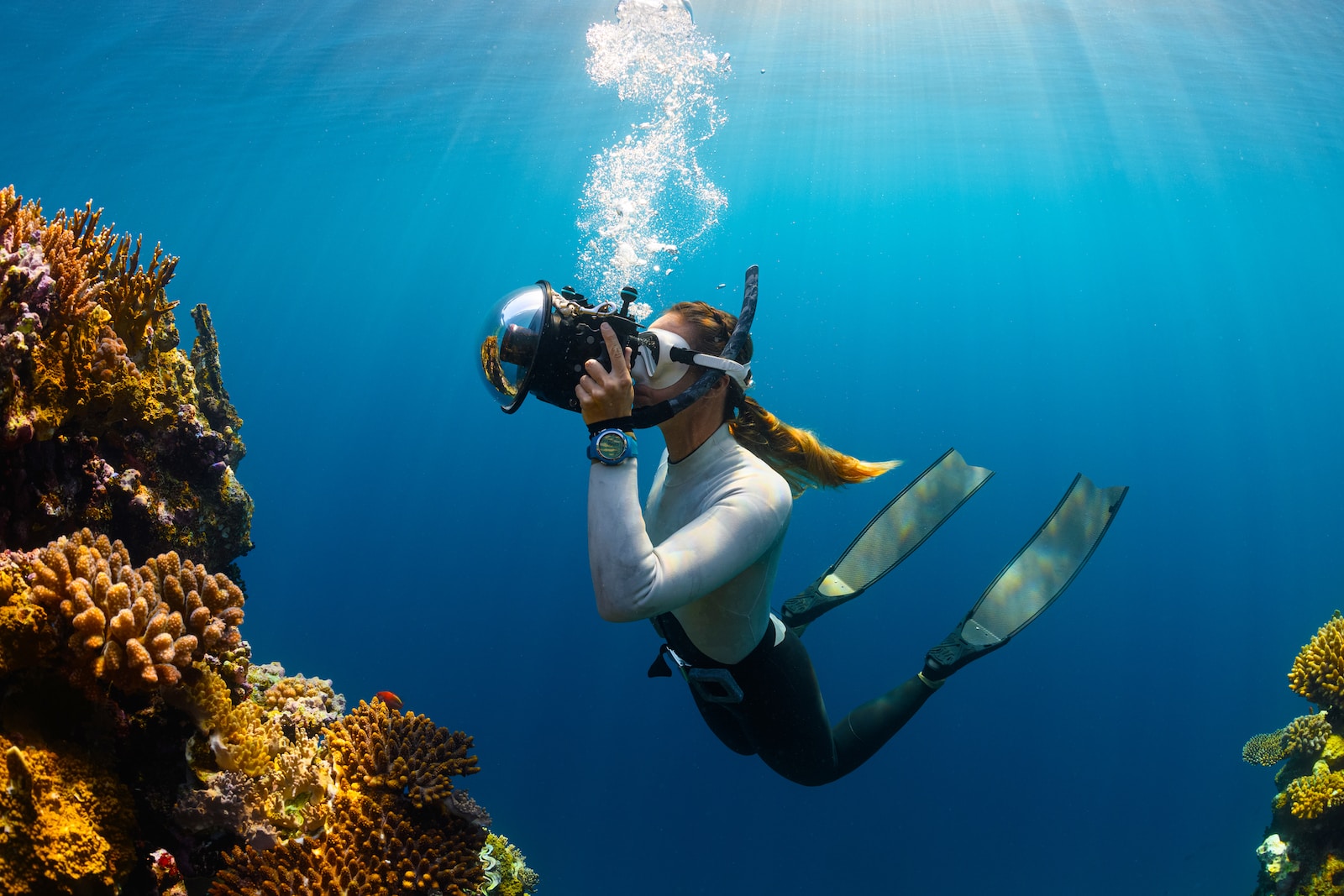 Best Diving & Snorkeling Locations at Puerto Galera